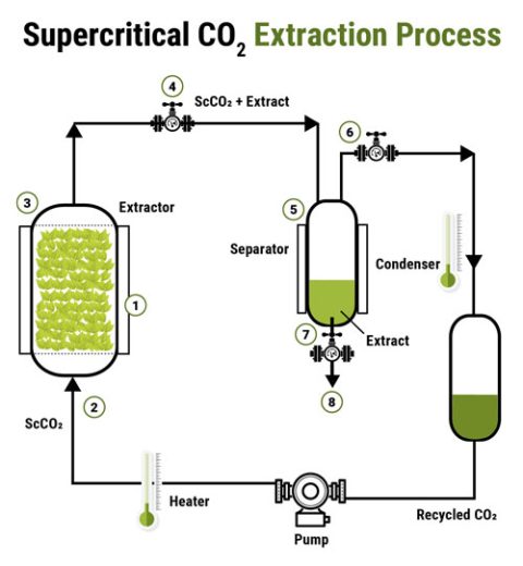 Supercritical Co Extraction Highest Extraction Yield For Co