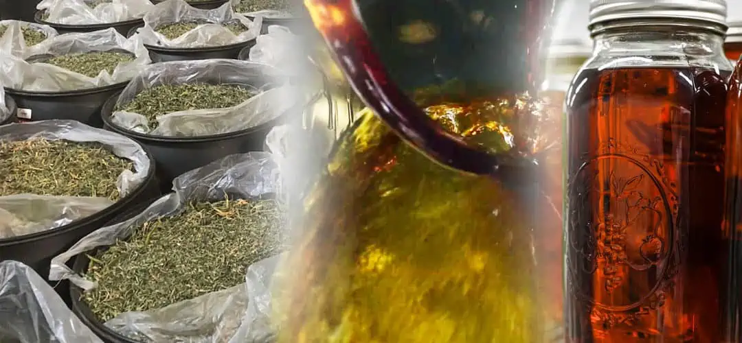 How to Make Cannabis Oil from Trim