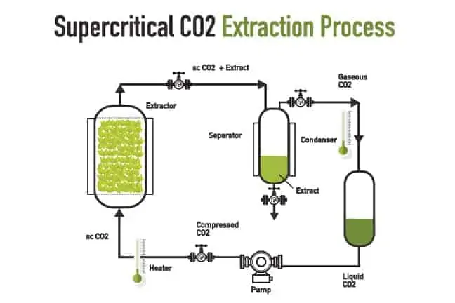 extraction process