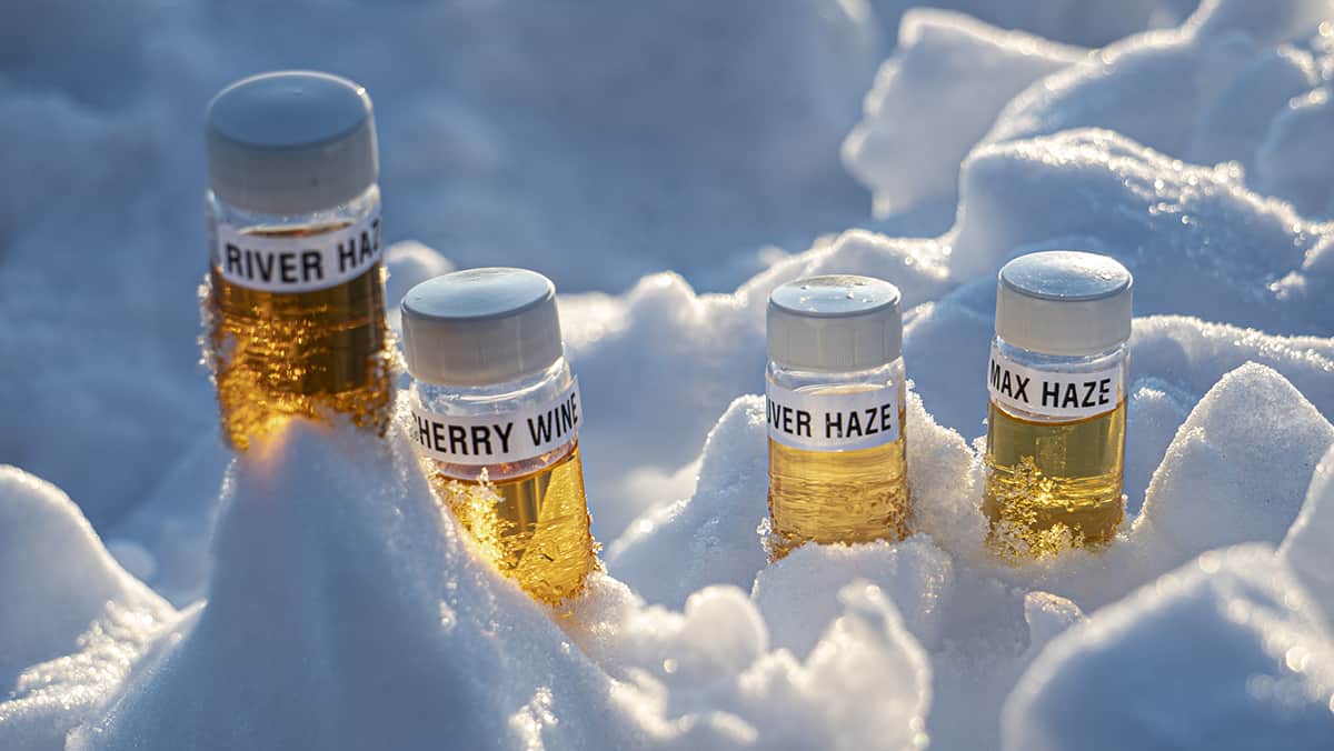 Cannabis terpenes displayed in snow