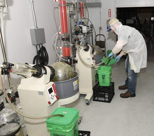 man doing hemp extraction processes in the lab