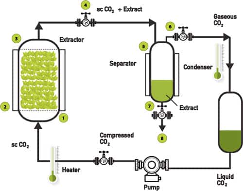 Diagram of Supercritical Co2 Extraction Process