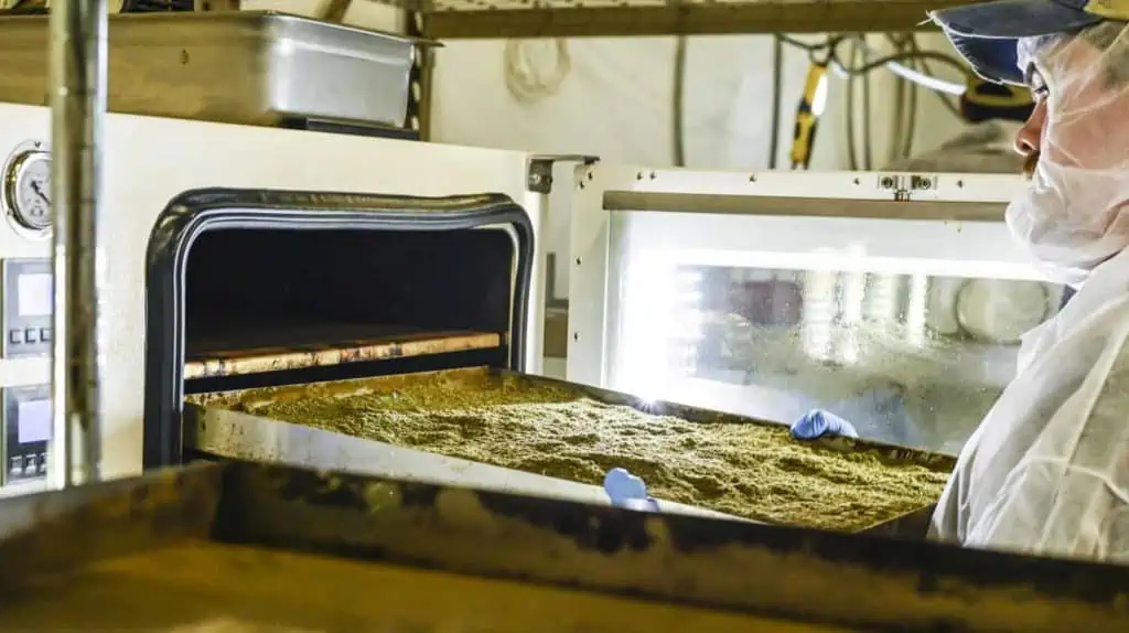 worker using decarb ovens