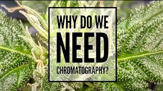 Chromatography Explained | Podcast