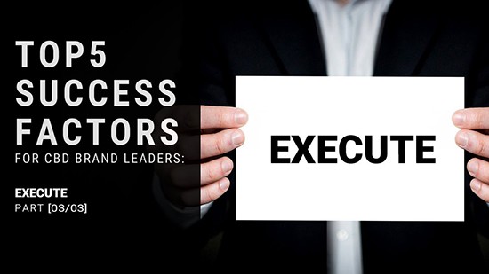 [Execute] Top 5 Success Factors for CBD Brand Leaders | Podcast
