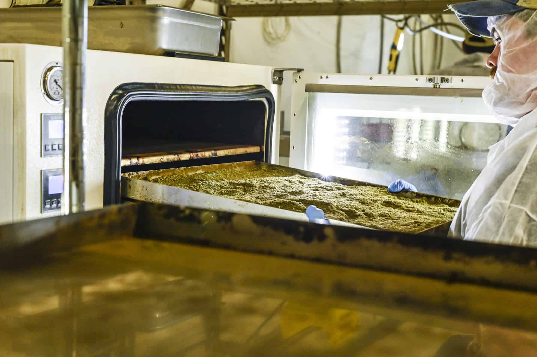 Worker using decarb oven