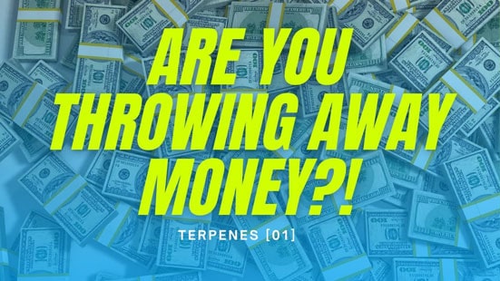 Are You Throwing Money Away | Podcast